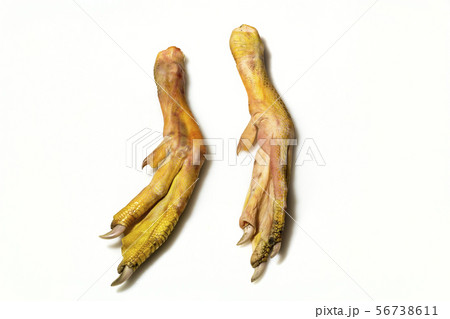 raw duck foot on white background raw duck foot on white background 56738611