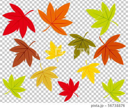 紅葉 楓 メープル 落ち葉 もみじ アイコン 秋のイラスト素材