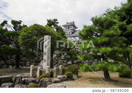 長浜のランドマークである長浜城 長浜のランドマークである長浜城 56739100