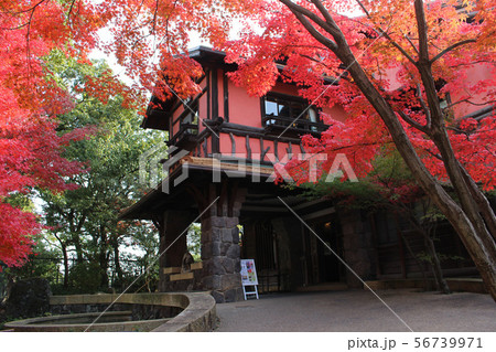 揚輝荘 紅葉の秋 揚輝荘 紅葉の秋 56739971