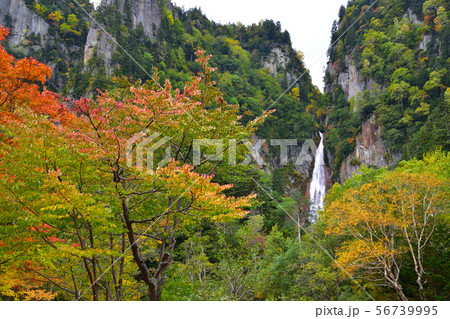 秋 流星の滝 秋 流星の滝 56739995