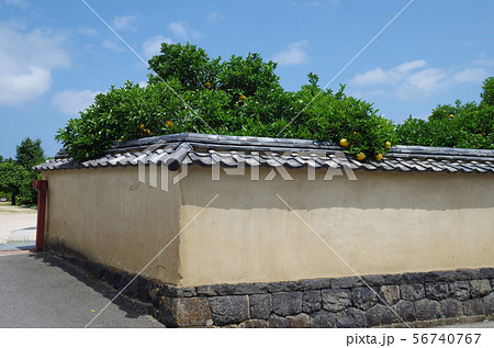 萩旧田中別邸の土塀 萩旧田中別邸の土塀 56740767
