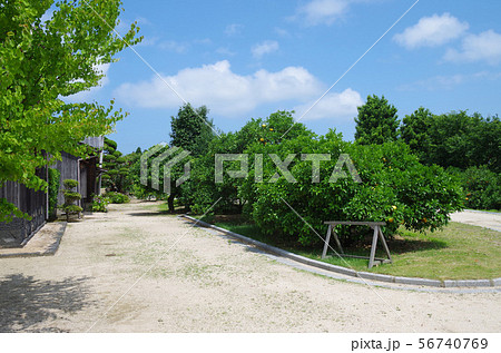 萩かんきつ公園の景色 萩かんきつ公園の景色 56740769