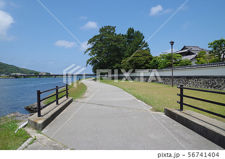 松本川の河川敷公園の散歩道 松本川の河川敷公園の散歩道 56741404