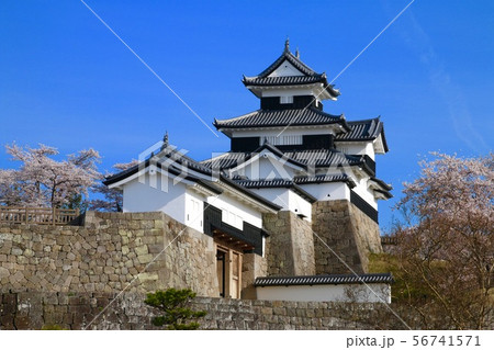 桜と小峰城(福島県・白河市) 桜と小峰城(福島県・白河市) 56741571