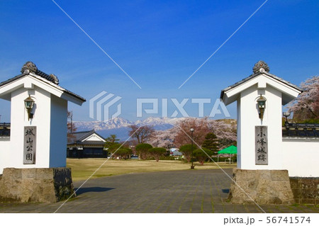 桜と小峰城（福島県・白河市） 56741574