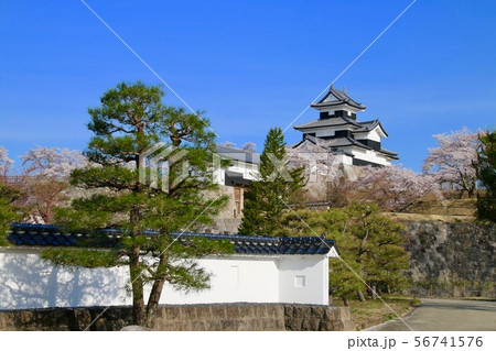 桜と小峰城（福島県・白河市） 56741576