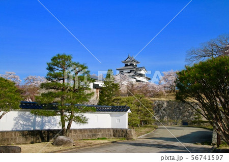 桜と小峰城(福島県・白河市) 桜と小峰城(福島県・白河市) 56741597