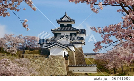 桜と小峰城(福島県・白河市) 桜と小峰城(福島県・白河市) 56741606