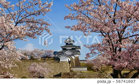 桜と小峰城(福島県・白河市) 桜と小峰城(福島県・白河市) 56741607