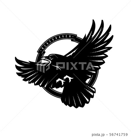 Black raven in flight, logo, emblem. Vector...のイラスト素材