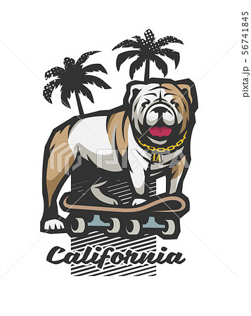 Bulldog On A Skateboard On The Background Of のイラスト素材