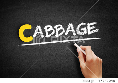 Cabbage text on blackboard 56742040