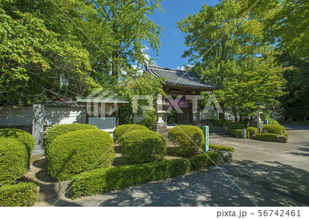 龍福寺 龍福寺 56742461
