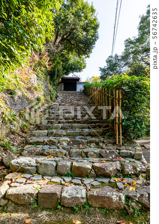 青龍山 安養寺石段 日向大神宮の参道 青龍山 安養寺石段 日向大神宮の参道 56742635