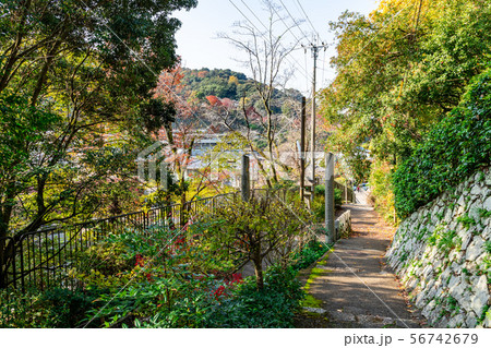 日向大神宮の参道 56742679