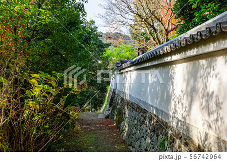 青龍山 安養寺 日向大神宮の参道 56742964