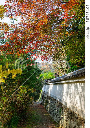 青龍山 安養寺 日向大神宮の参道 56743105