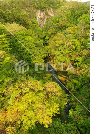 阿武隈川上流風景 56743321