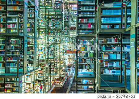 バスコンセロス　空中図書館 56743753