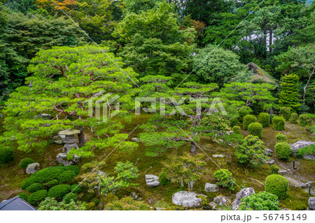 旧竹林院 56745149