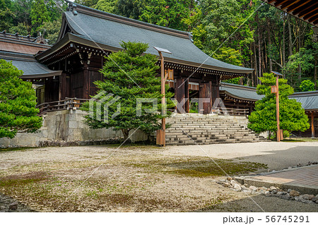 近江神宮 56745291