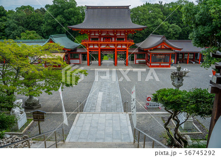 近江神宮 56745292