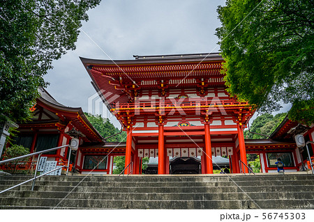 近江神宮 56745303