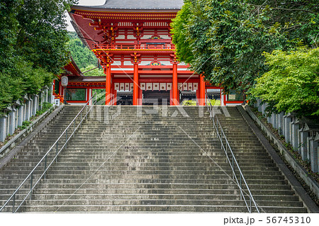 近江神宮 56745310