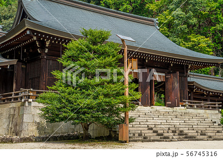 近江神宮 56745316