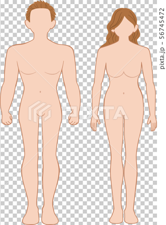 Full body front men and women set - Stock Illustration [56745472