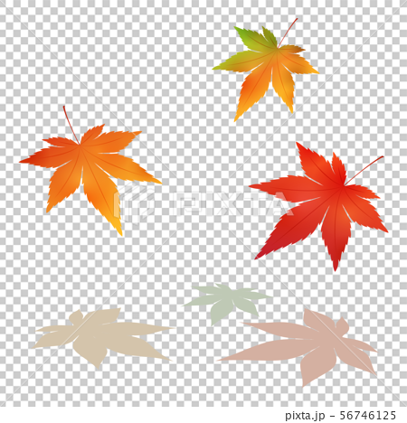 落ちる紅葉の葉っぱイラストのイラスト素材