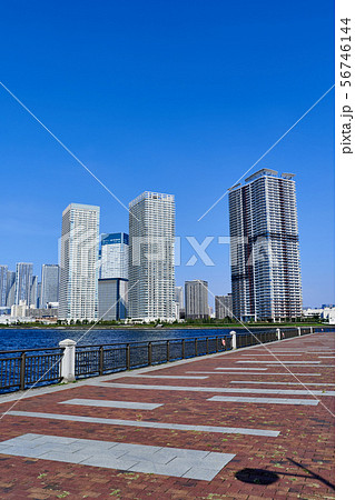都市風景　ウォーターフロント　タワーマンション　晴海 56746144