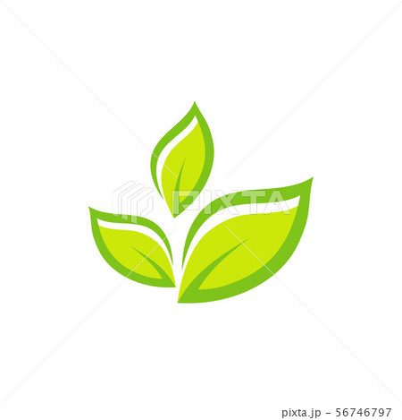 Green Leaf Ecology Nature Element Vector Icon Pixta