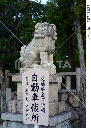 廣田神社の狛犬-2 56748023