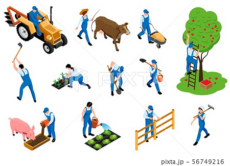 Farmer Isometric Icons Set  56749216
