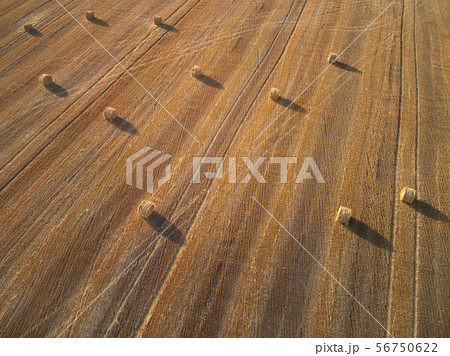 Aerial view of several round bales of straw Aerial view of several round bales of straw 56750622
