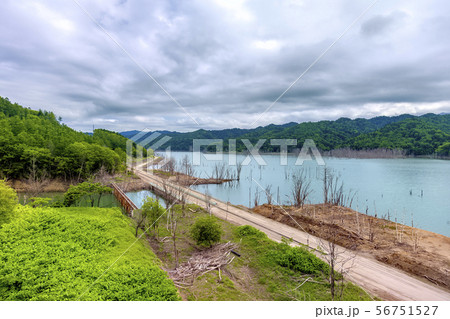 ダム水没跡地　(6月　夕張市) 56751527