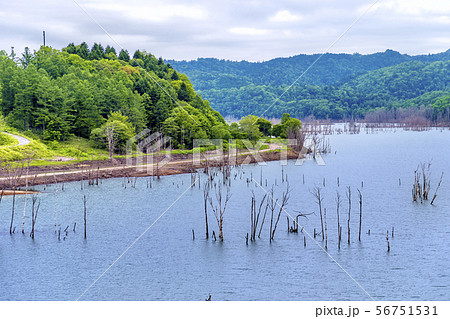 ダム水没跡地 (6月 夕張市) ダム水没跡地 (6月 夕張市) 56751531
