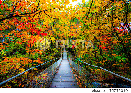 秋色に染まる　花巻温泉郷 56752010