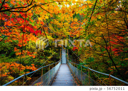 秋色に染まる 花巻温泉郷 秋色に染まる 花巻温泉郷 56752011