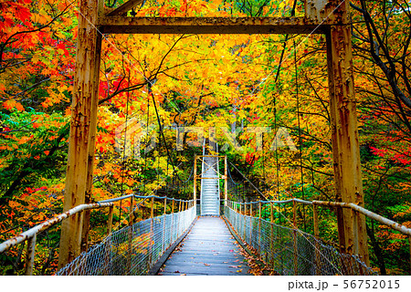 秋色に染まる 花巻温泉郷 秋色に染まる 花巻温泉郷 56752015