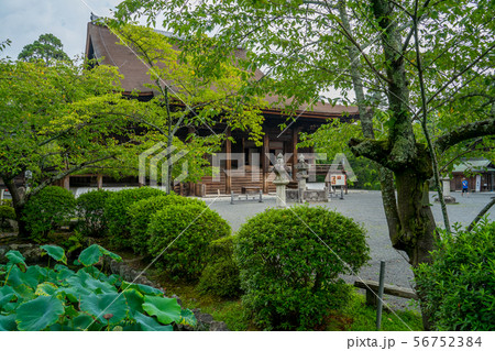 三井寺(園城寺) 金堂 三井寺(園城寺) 金堂 56752384