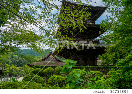 三井寺（園城寺）　三重塔 56752392