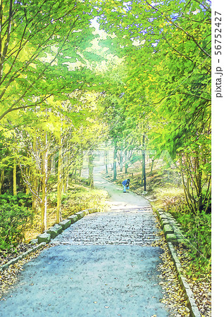 公園　遊歩道　散歩 56752427