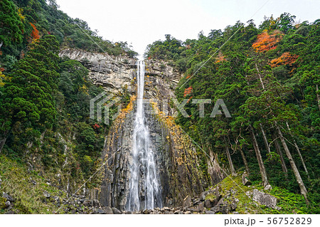 那智御瀧 56752829