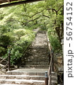 階段 56754152