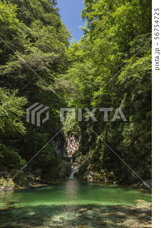 夏の渓谷　白州 56754725