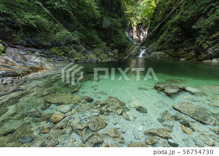 夏の渓谷　白州 56754730
