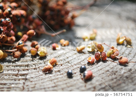 乾燥山椒 56754751